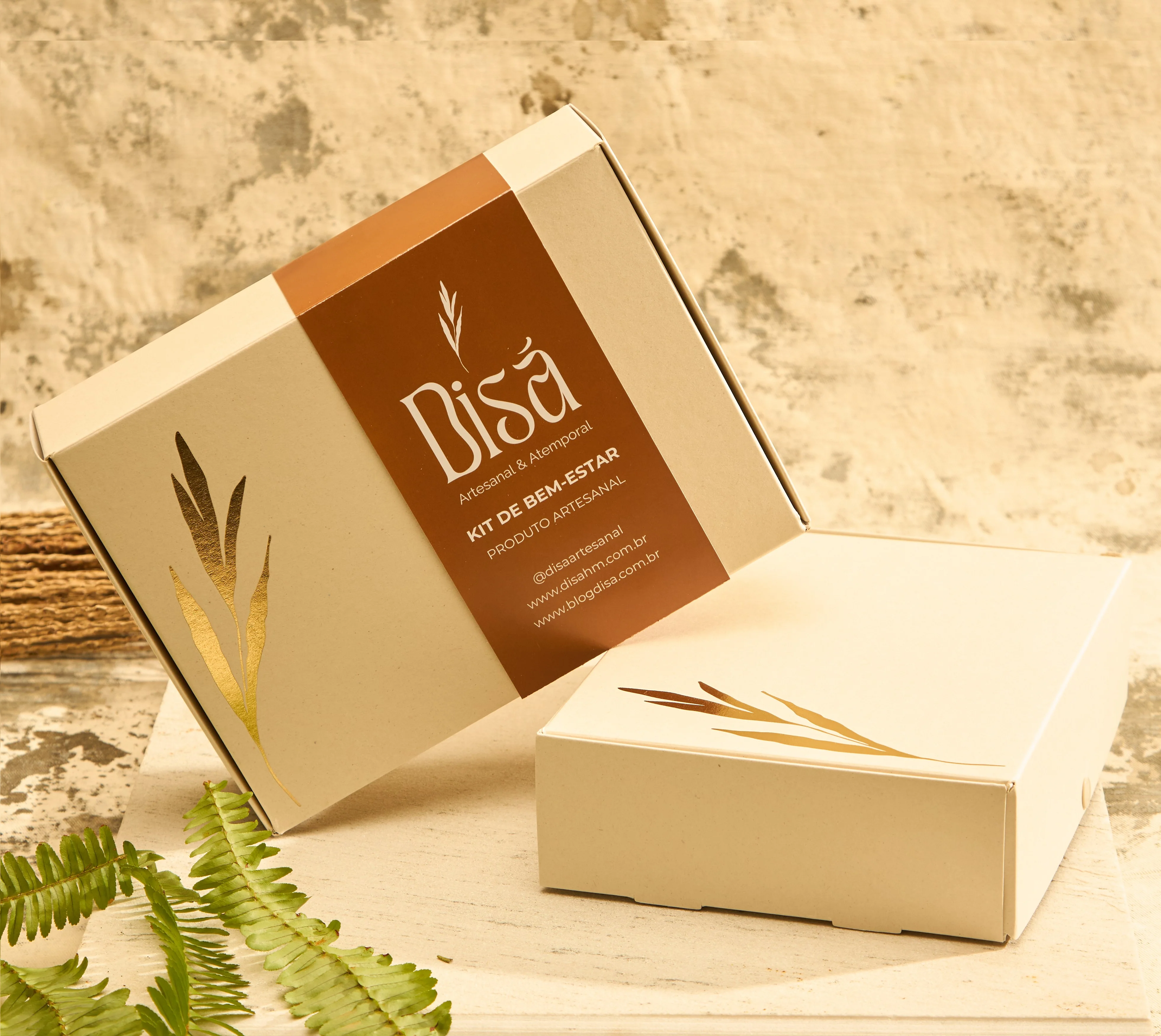 Toda nossa coleção!