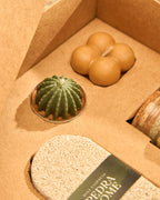 Kit Cactus - Escalda-Pés