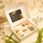 Kit Samambaia - Escalda-Pés