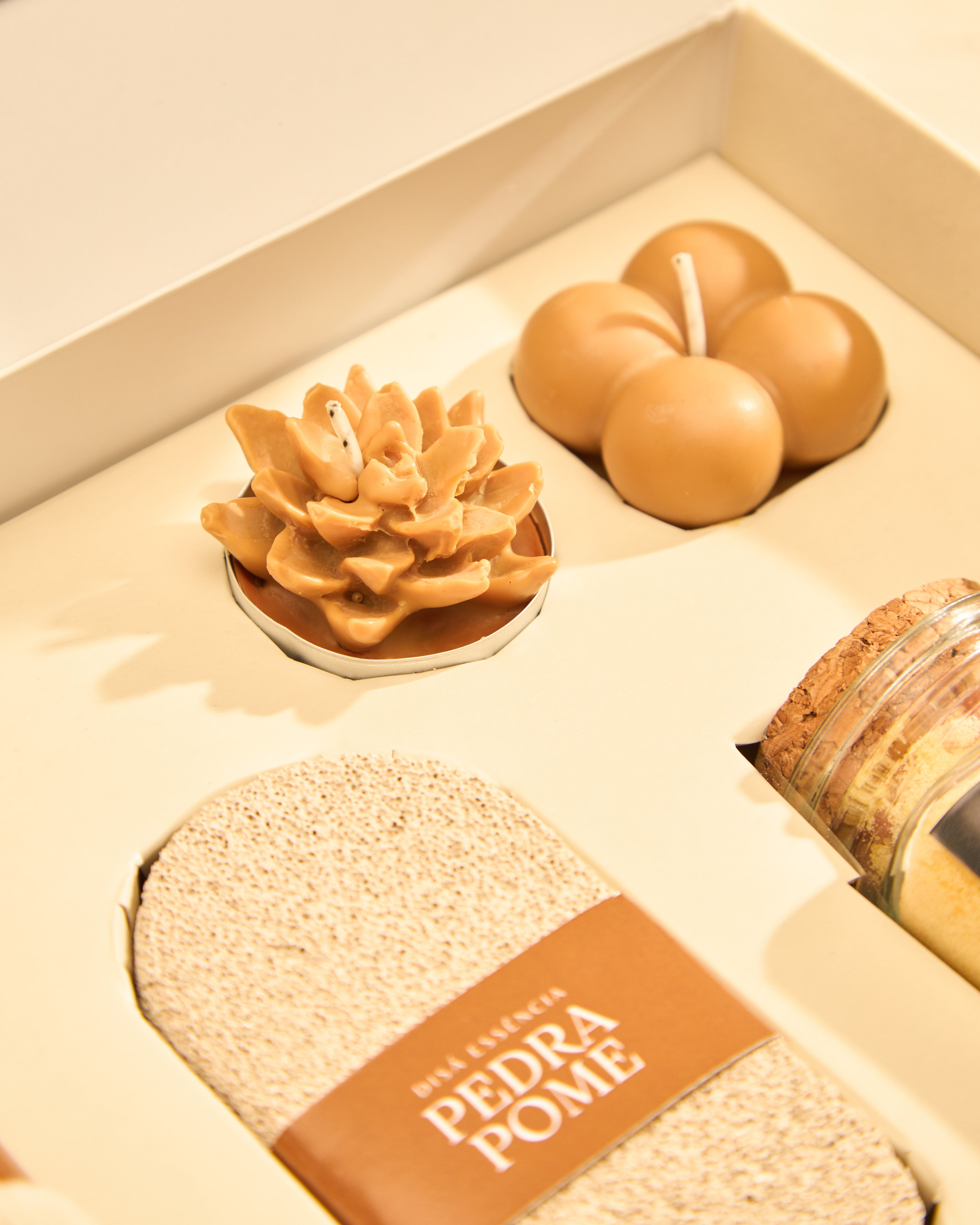 Kit Samambaia - Escalda-Pés