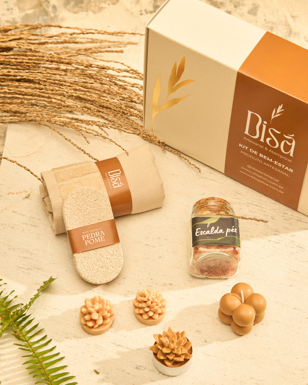 Kit Samambaia - Escalda-Pés