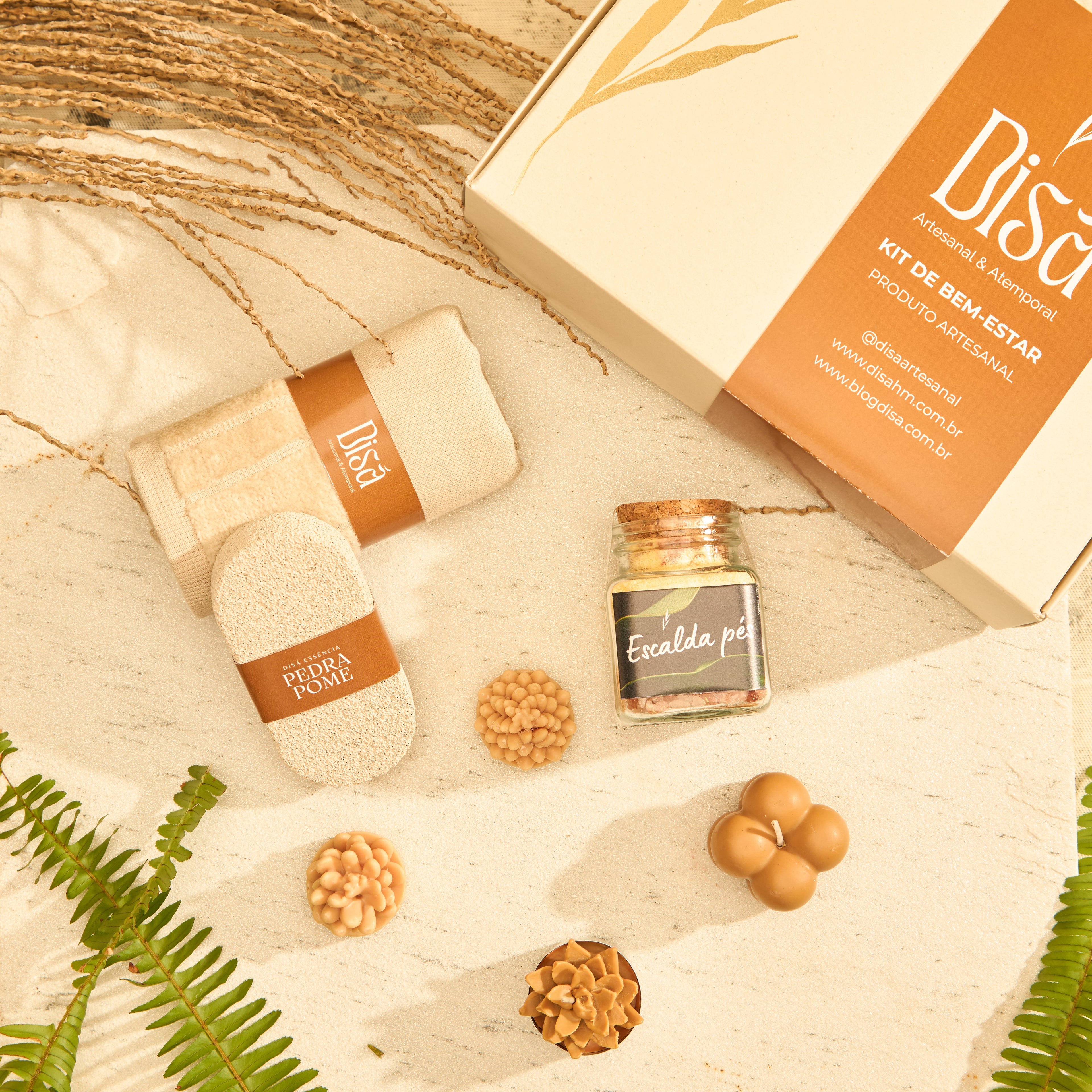 Kit Samambaia - Escalda-Pés